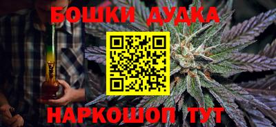 стафф Лесосибирск